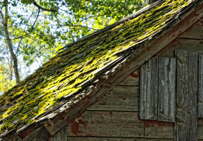 How to Remove Moss from Roof - Wood Shingles