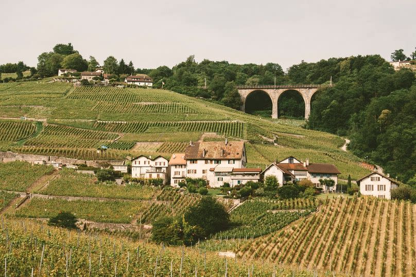 Lutry, à l'extérieur de Lausanne, est réputée pour la beauté de ses paysages.