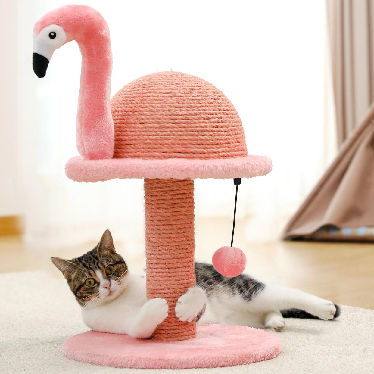 <p><a href="https://go.redirectingat.com?id=74968X1596630&url=https%3A%2F%2Fwww.walmart.com%2Fip%2FPAWZ-Road-Cat-Scratching-Post-Flamingo-Sisal-Claw-Scratcher-Post-for-Small-Cat-Pink%2F513295165&sref=https%3A%2F%2Fwww.countryliving.com%2Fshopping%2Fg41715199%2Fblack-friday-pet-deals%2F" rel="nofollow noopener" target="_blank" data-ylk="slk:Shop Now;elm:context_link;itc:0;sec:content-canvas" class="link rapid-noclick-resp">Shop Now</a></p><p>Flamingo Scratching Post</p><p>walmart.com</p><p>$22.99</p>