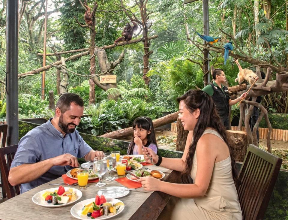 Tuck into a delectable buffet spread and interact with different animal species (and their keepers). (Photo: Mandai Wildlife Group)