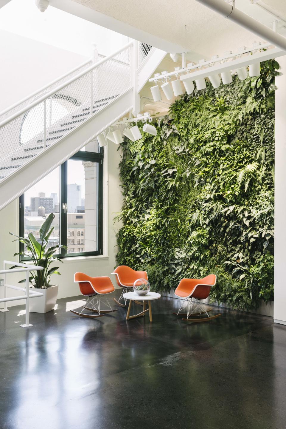 The space is flooded with natural light and includes ’gram-ready backdrops like this living green wall.