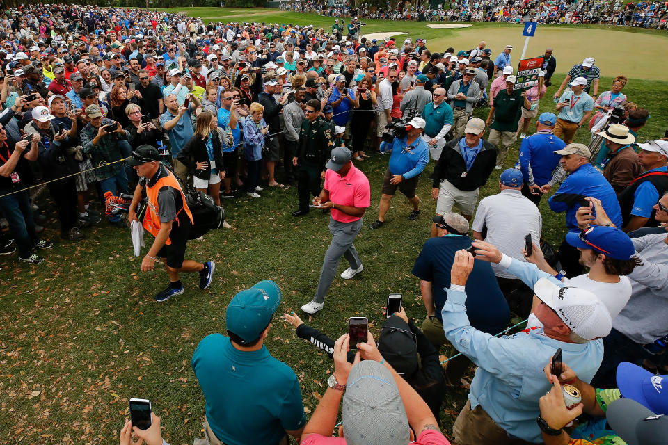 Tiger Woods is squarely in the hunt going into the final round of the Valspar Championship. (Getty)