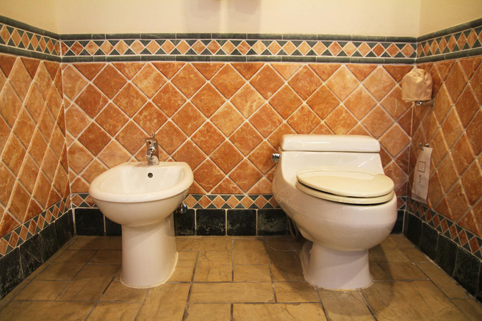 ▲理想大地渡假飯店的浴室，幾乎都有「下身盆」的裝置，在歐美相當流行。（圖／記者鄭志宏攝）