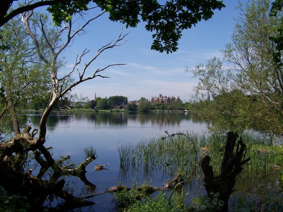 Lurgan Park is the second largest urban park in IrelandGetty Images/iStockphoto