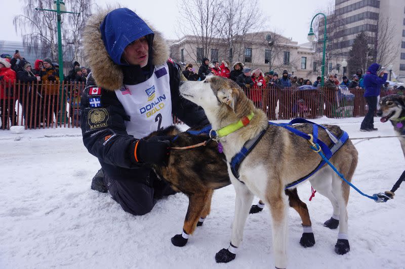 Dog handlers for help prepare the team of musher Martin Massicotte (Bib No. 2) at the ceremonial Anchorage start of the 2020 Iditarod Trail Sled Dog Race