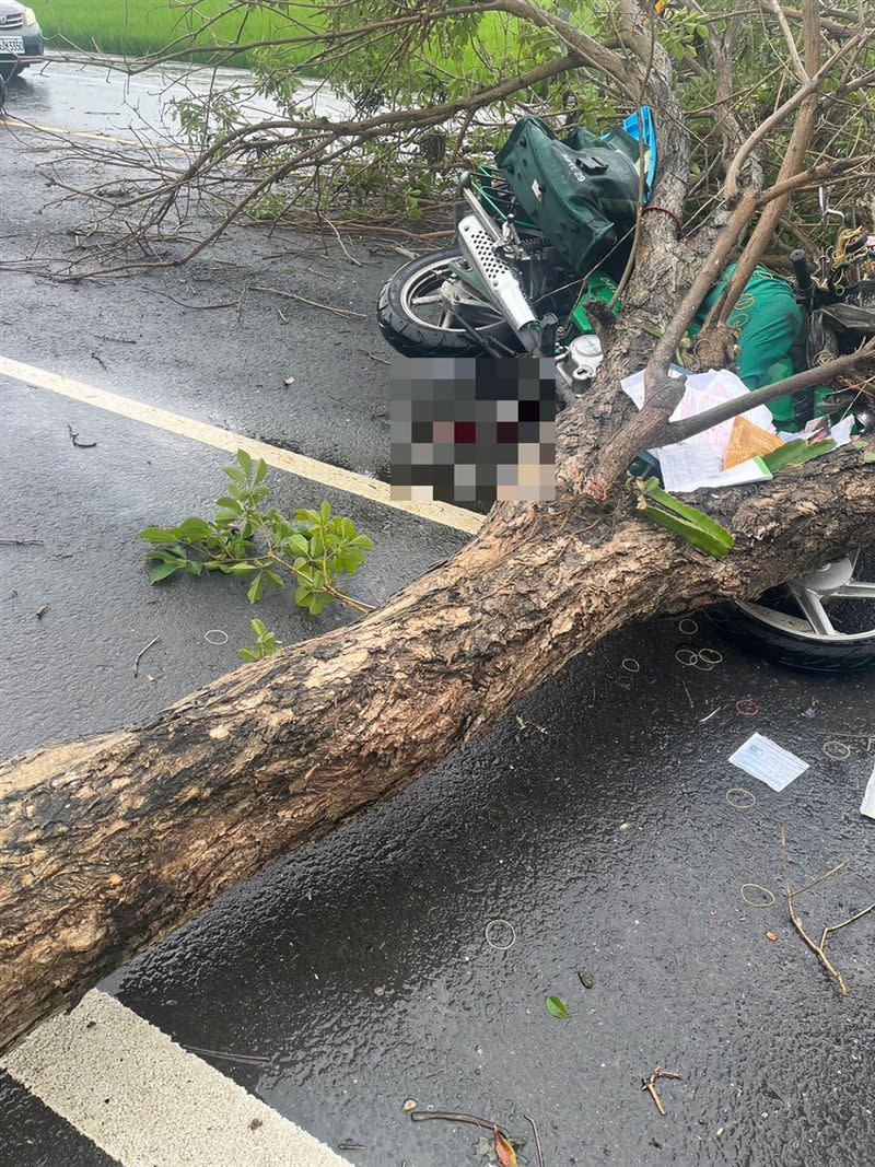 彰化孫姓郵差冒雨送信，行經芬園鄉彰南路一段時，遭倒塌的路樹砸中重傷，送醫宣告不治。(圖／翻攝畫面)