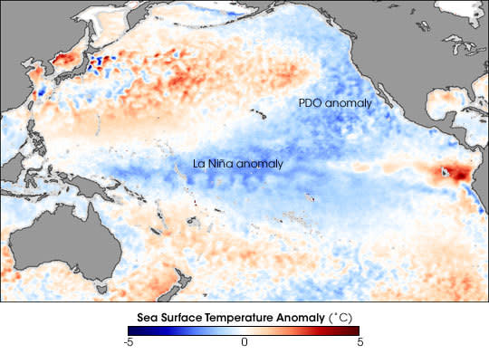 The Pacific Decadal Oscillation forms a cooler horseshoe of water in the northeastern Pacific Ocean to the tropics.