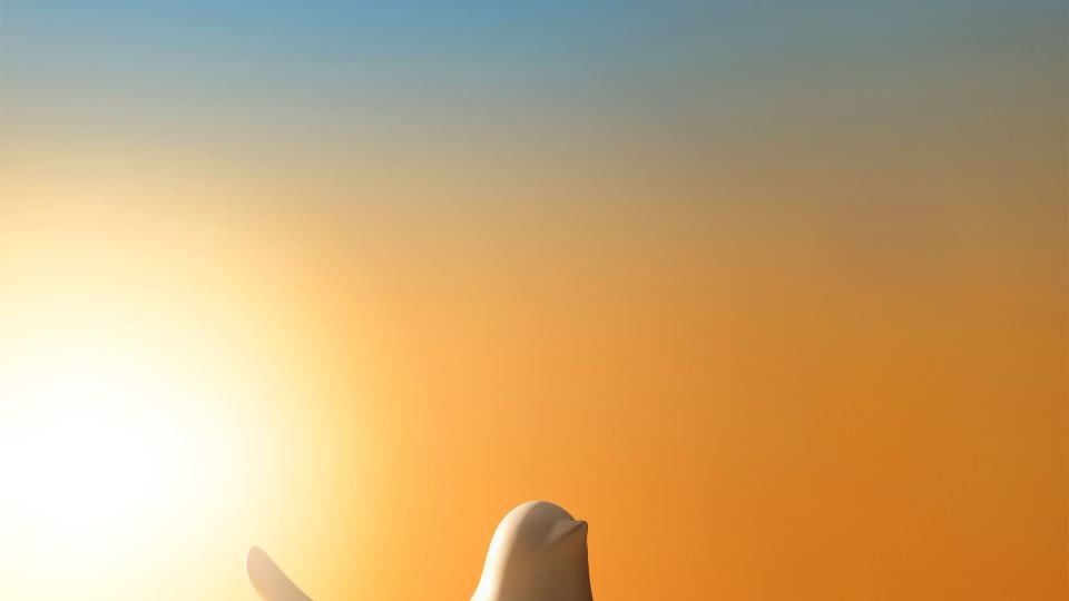 two porcelain birds with a sunrise background
