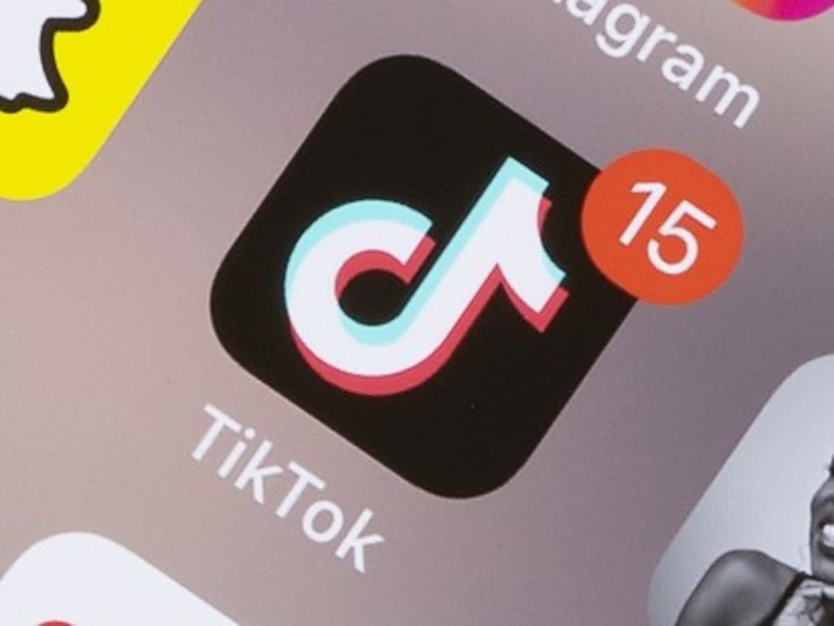 TikTok will be banned in the US state of Montana from 1 January, 2024, if attempts to block the law fail (iStock/ Getty Images)