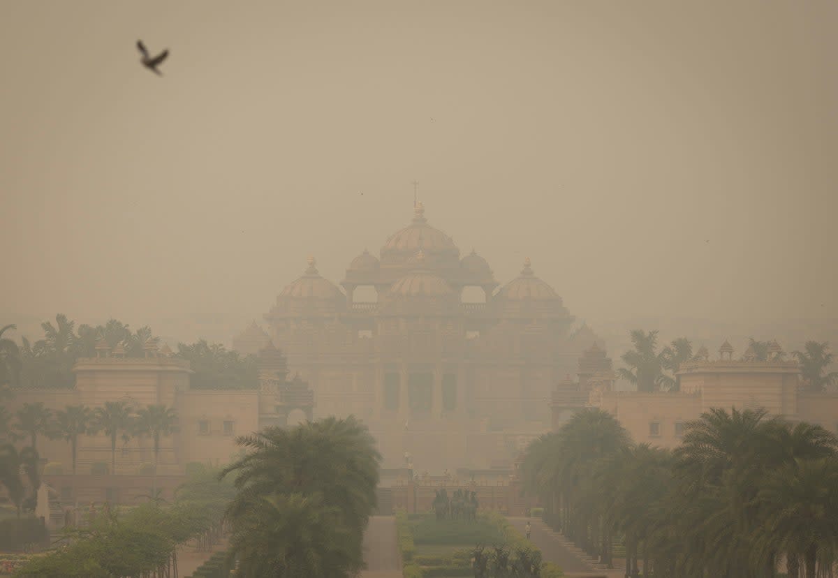 A bird flies next to the smog-covered Akshardham temple in New Delhi on 4 November 2022 (REUTERS)