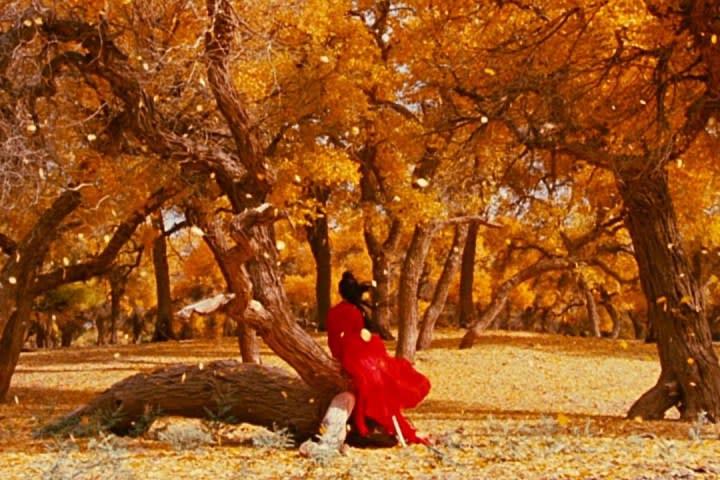 Maggie Cheung sits under falling yellow leaves in Hero.