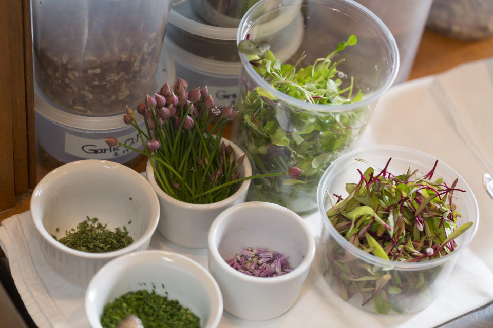 A variety of different vegetables and ingredients, each in their own small container