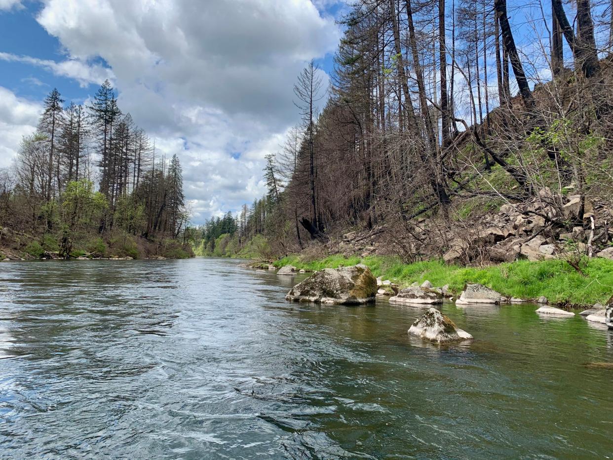 Views of the North Santiam River include some burned forest along with more green than might be expected. This view is just below DeWit Falls.