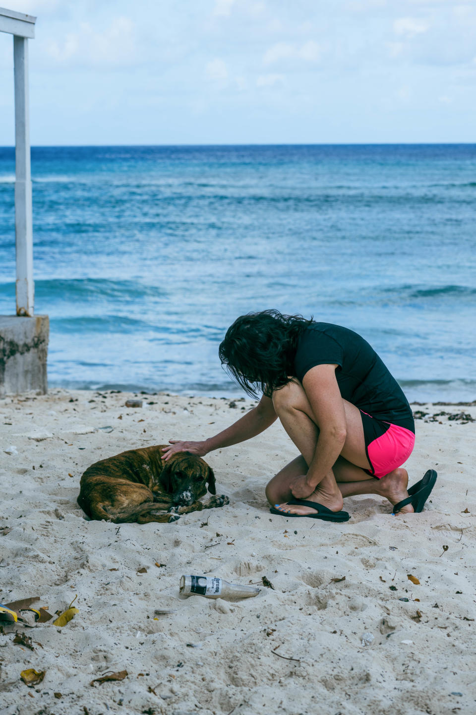 Dr. Sue Burkhart, a veterinarian in Ontario, fell in love with this brindle dog in Grand Turk.