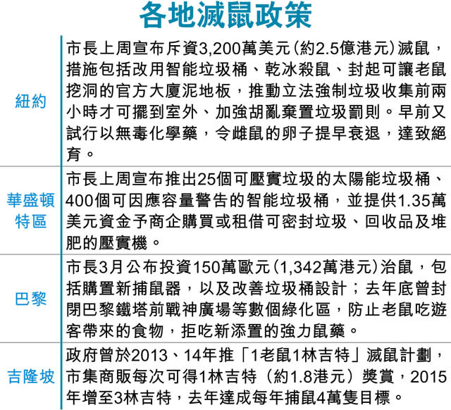 老鼠為患 各地齊宣戰