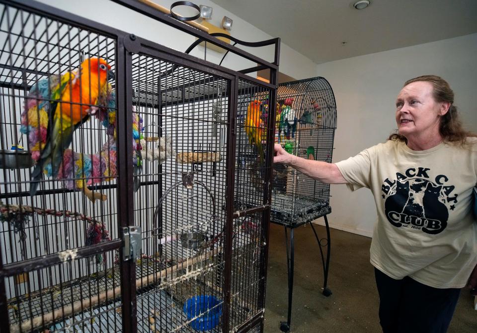 Shoshannah Tempest, owner of the now-closed Compassion in Healthcare pet-friendly assisted living center, is now looking for a home for her and her menagerie of nearly 100 animals. They are being evicted after the foreclosure sale of the Daytona Beach assisted-living center on Beville Road.