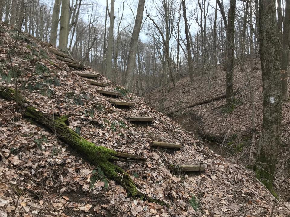 A steep section of the rolling hills along the Knobstone Trail,  complete with stairs built by trail crews on the Indiana Department of Natural Resources land, Sunday, March 22, 2020. 