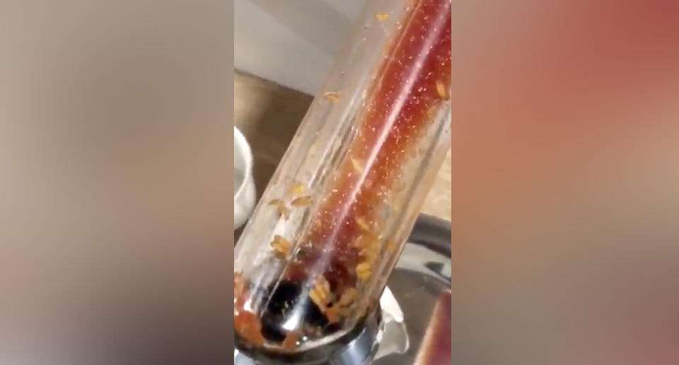 Maggots were seen in the ketchup dispenser at McDonald's Cambridge (pictured).