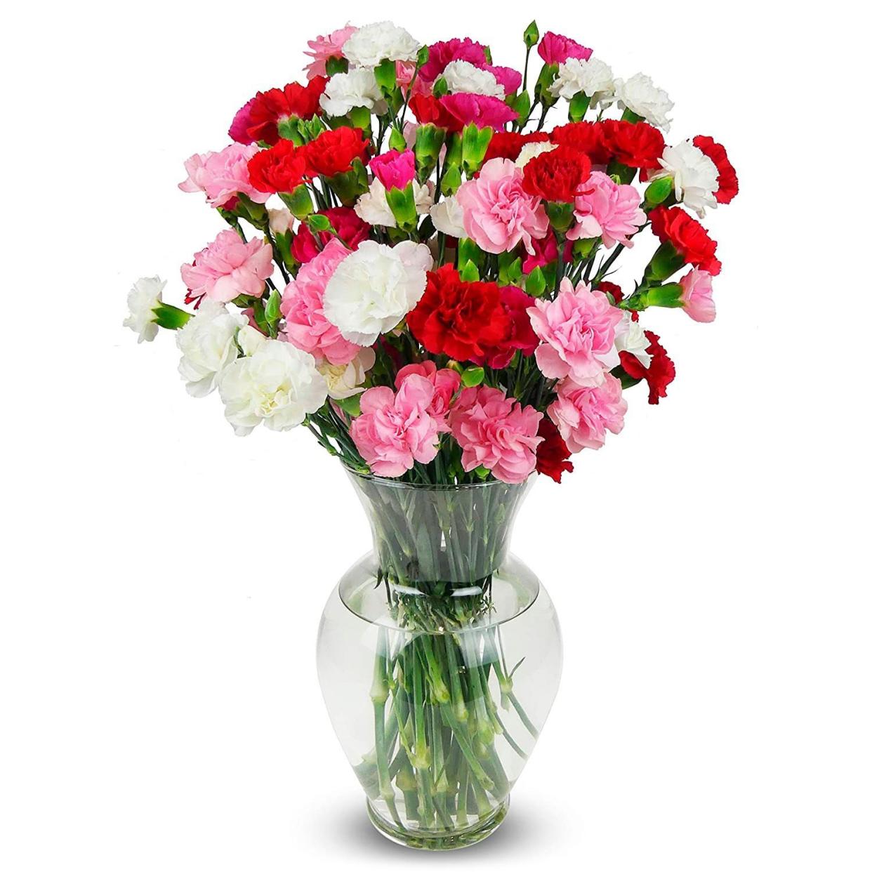 Benchmark Bouquets 20 Stem Rainbow Mini Carnations With Vase