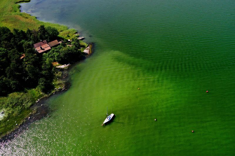 FILE PHOTO: An aerial view of toxic blue-green algae bloom on the Baltic Sea coast at Tyreso near Stockholm