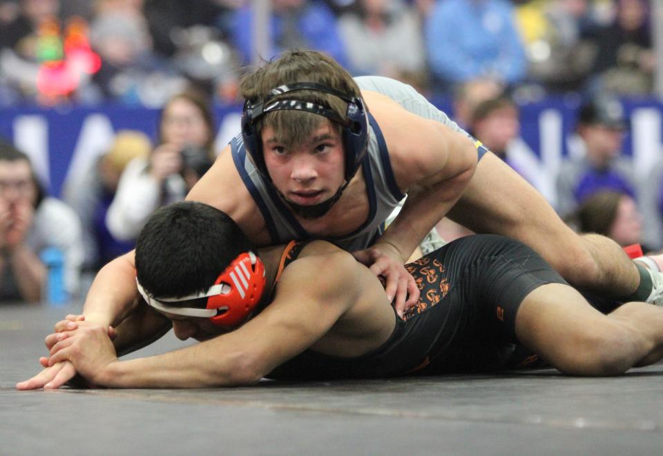 Hartland's Bodie Abbey became the second Livingston County boy to win a state wrestling championship as a freshman.