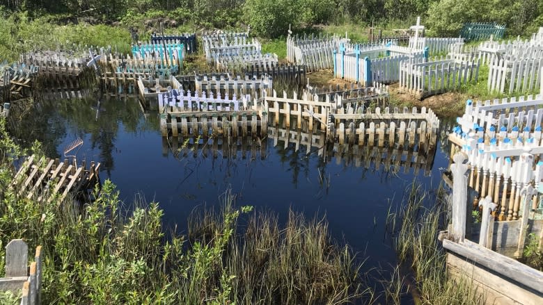 'I don't know where she is': Flooding at Behchoko cemetery leaves graves under water