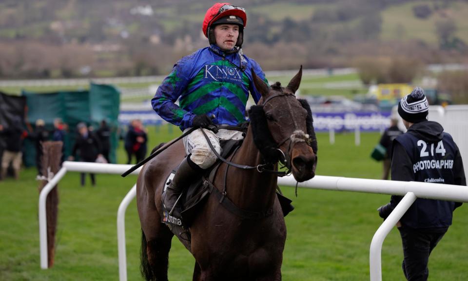 <span>Monbeg Genius after being pulled up at this month’s Cheltenham Festival.</span><span>Photograph: Tom Jenkins/The Guardian</span>