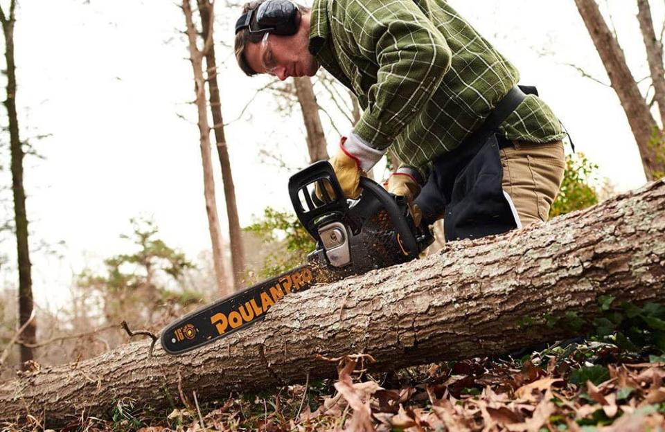 The Best Chainsaw Brands Option: Poulan