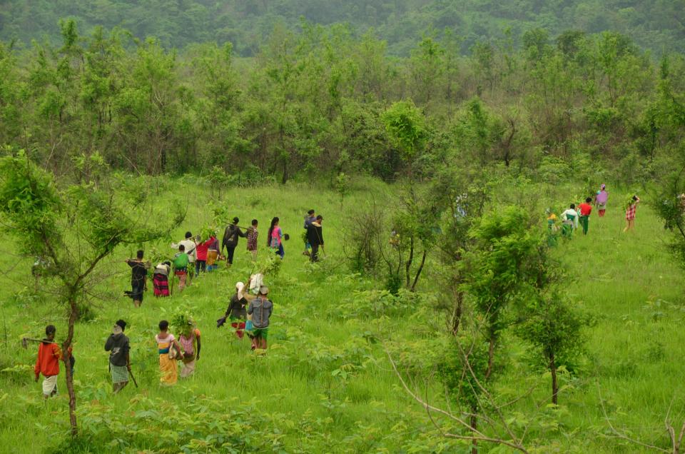 An image from a new Himalayas project, backed by King Charles III, to restore wildlife and sustainable farming to what has become an overworked and degraded landscape.