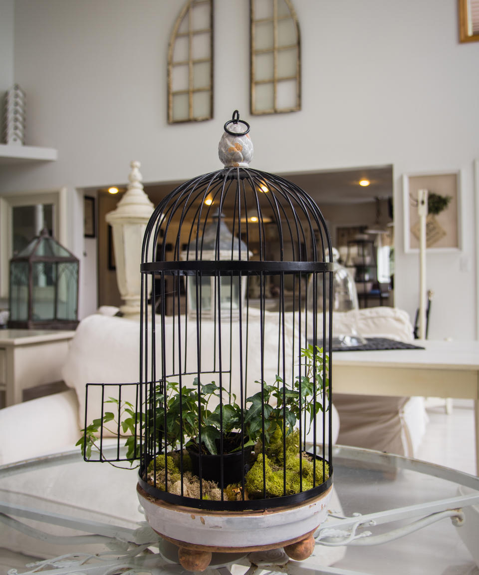 8. Keep your plants in a cute birdcage