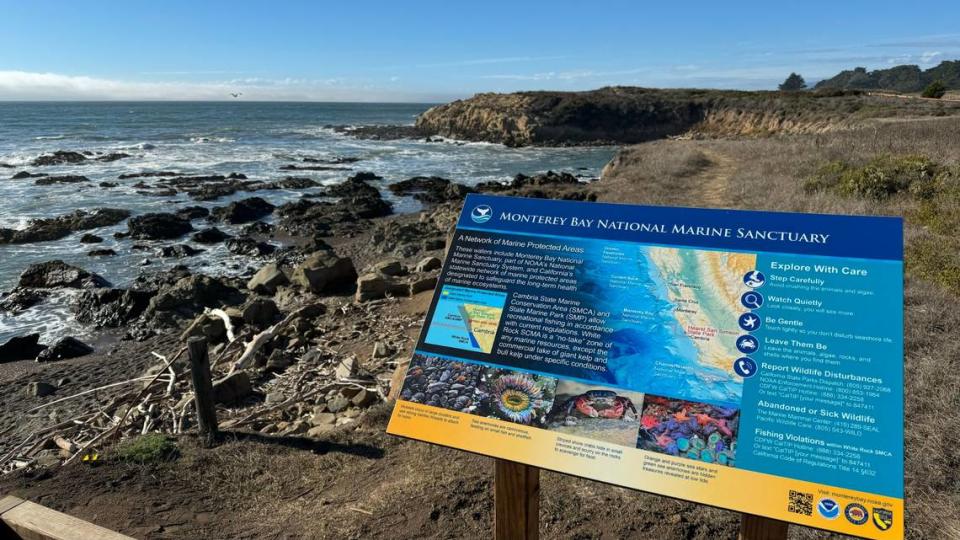 New informational signs on the Monterey Bay National Marine Sanctuary have been added to the Moonstone Beach boardwalk in Cambria. Environmental advocates want the northern boundary of the proposed Chumash Heritage National Marine Sanctuary to extend to the meet the Monterey Bay sanctuary while the three offshore wind companies who’ve won leases to place turbines in the ocean would like that boundary moved farther south. Joe Tarica/jtarica@thetribunenews.com