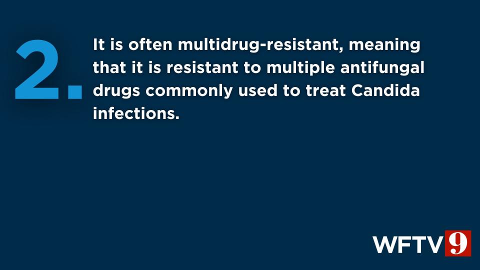 The CDC said Candida auris is a drug-resistant and potentially deadly fungus.