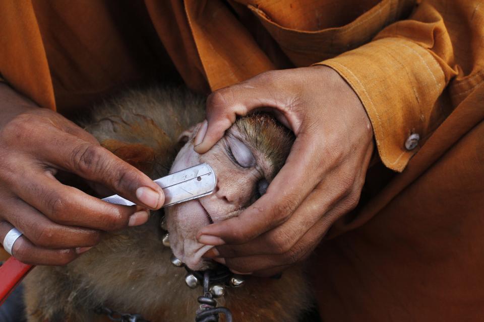 Photos of the day - October 7, 2013