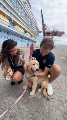 <p>Royal Caribbean International/Instagram</p> Crew members hang out with Rover.