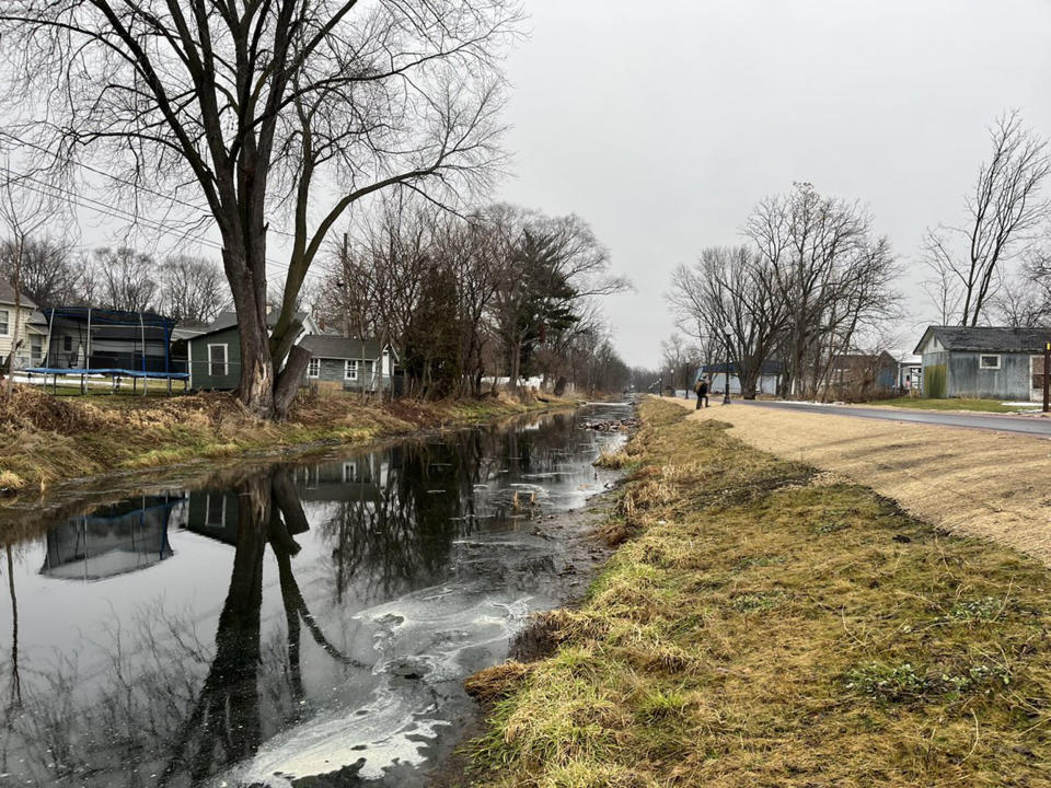 The buttery mess in the canal. (Phoebe Murray / NBC15)