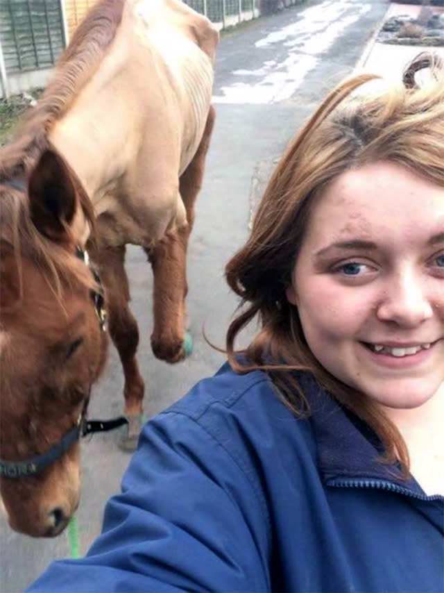 'Skeletal' horse saved after Facebook selfie 