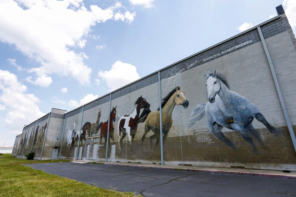 This mural of horses is on the back side of the Alamo Drafthouse located at 4005 South Ave.