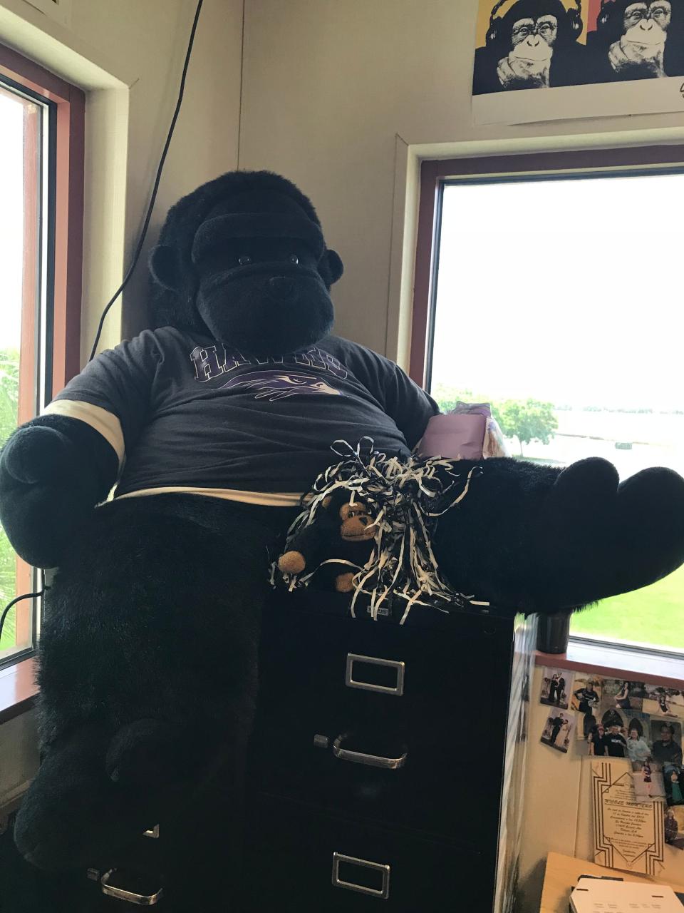 Pulitzer, the stuffed ape, in Mike Hazelwood's classroom. The mascot lived in both the Times-Delta and Advance-Register newsrooms before moving to Hazelwood's classroom in Tulare.