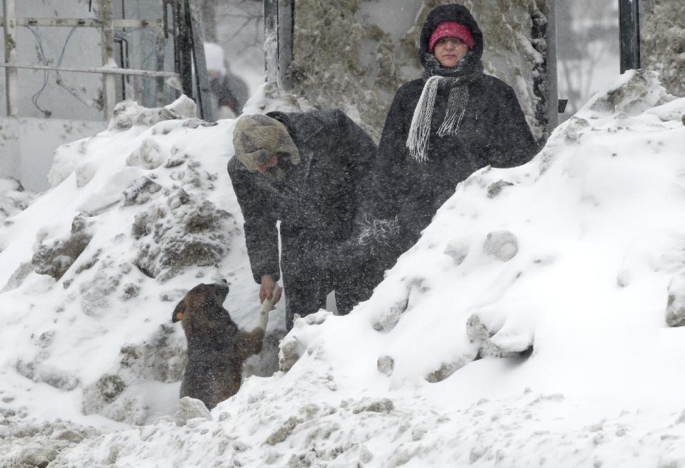 A man holds the paw of a stray dog in a snowed in bus stop during a blizzard in Bucharest, Romania, Wednesday, Jan. 29, 2014. Weather forecasters issued a code red severe weather warning as a second wave of blizzards affects the southeastern regions of Romania disrupting road and rail traffic.(AP Photo/Vadim Ghirda)