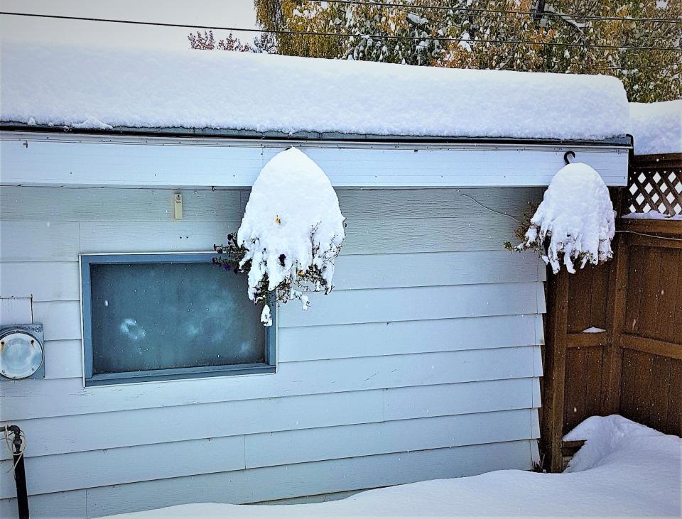 Calgary snow