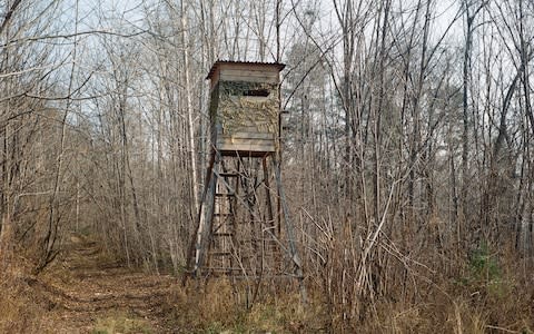 A watchtower used to keep track of illegal poaching and logging - Credit: Olya Ivanova