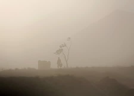 A man walks next to a tree during a dust storm in Kabul, Afghanistan August 20, 2015. REUTERS/Ahmad Masood/File Photo