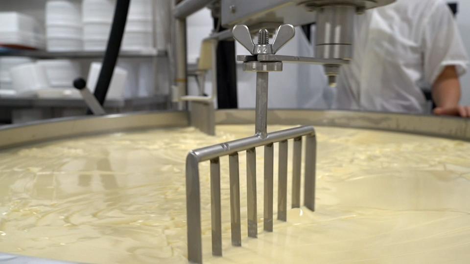 A machine cuts ripened milk into curds at Stony Pond Farm in Fairfield on June 12, 2023.