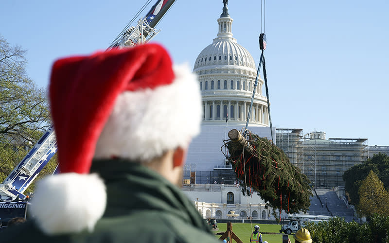 People watch the arrival of the Capitol Christmas Tree to the West Front Lawn