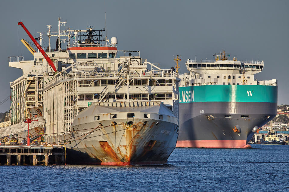 The Gulf Livestock 1 is seen at Fremantle Harbour in Western Australia.