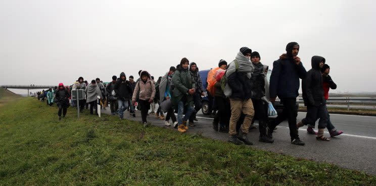 Flüchtlinge in Serbien auf dem Weg zur kroatischen Grenze (Bild: dpa)