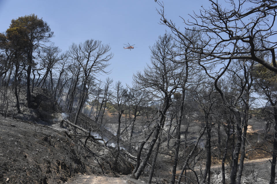 A helicopter flies above the burning area near Ziria village, east of Patras, Greece, Sunday, Aug. 1, 2021. A wildfire that broke out Saturday in western Greece forced the evacuation of four villages and people on a beach by the Fire Service, the Coast Guard and private boats, authorities said. (AP Photo/Andreas Alexopoulos)