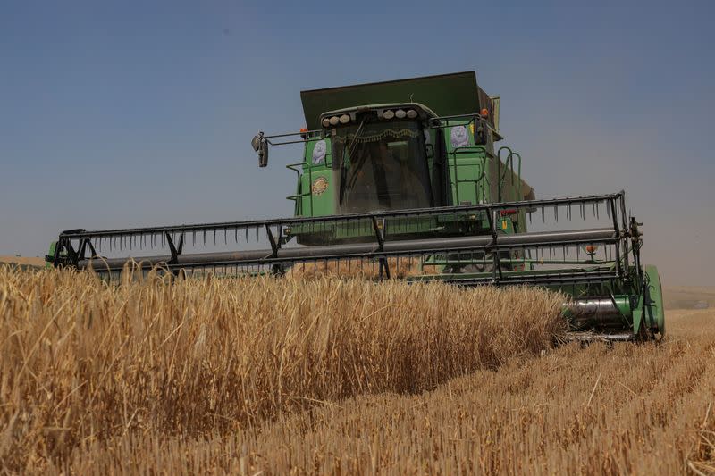 FILE PHOTO: Barley harvest in Odesa region amid Russia's attack on Ukraine