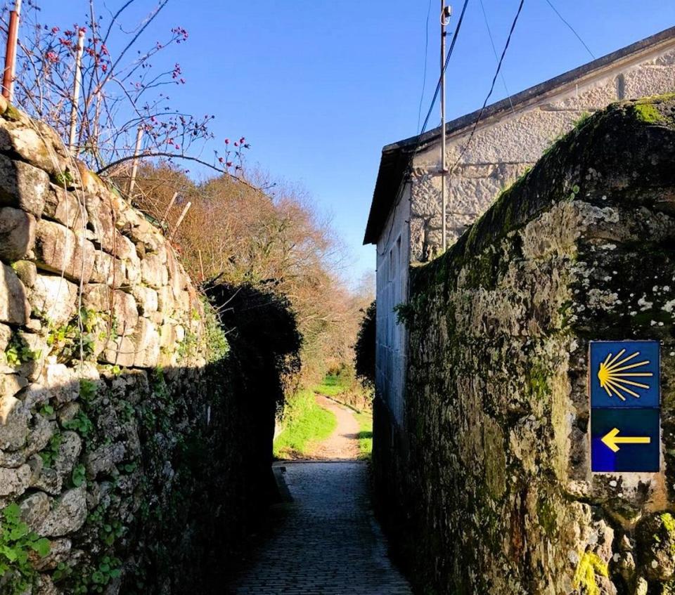 Yellow shells and arrows point the way for pilgrims along the ancient Via Romana on the Camino de Santiago. They provide guidance, inspiration, and comfort, but as in life, the way-marks aren’t always easy to find.