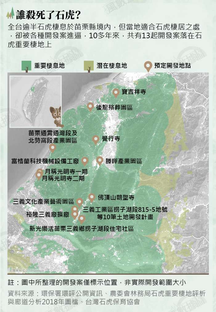 20190226-SMG0035-風數據／石虎專題。誰殺死了石虎？切割圖-1